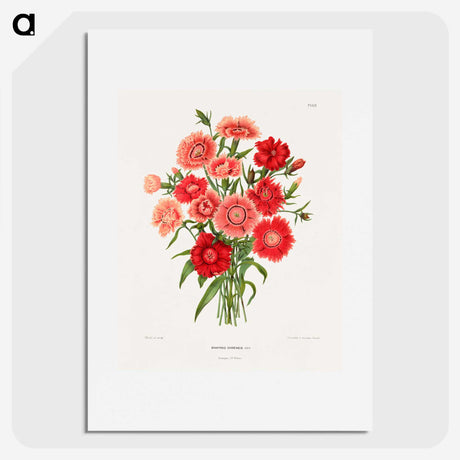 1-10_Nederlandsche-Flora-en-Pomona_picture