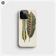 1-10_New-and-Rare-Beautiful-Leaved-Plants_phone