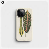 1-10_New-and-Rare-Beautiful-Leaved-Plants_phone