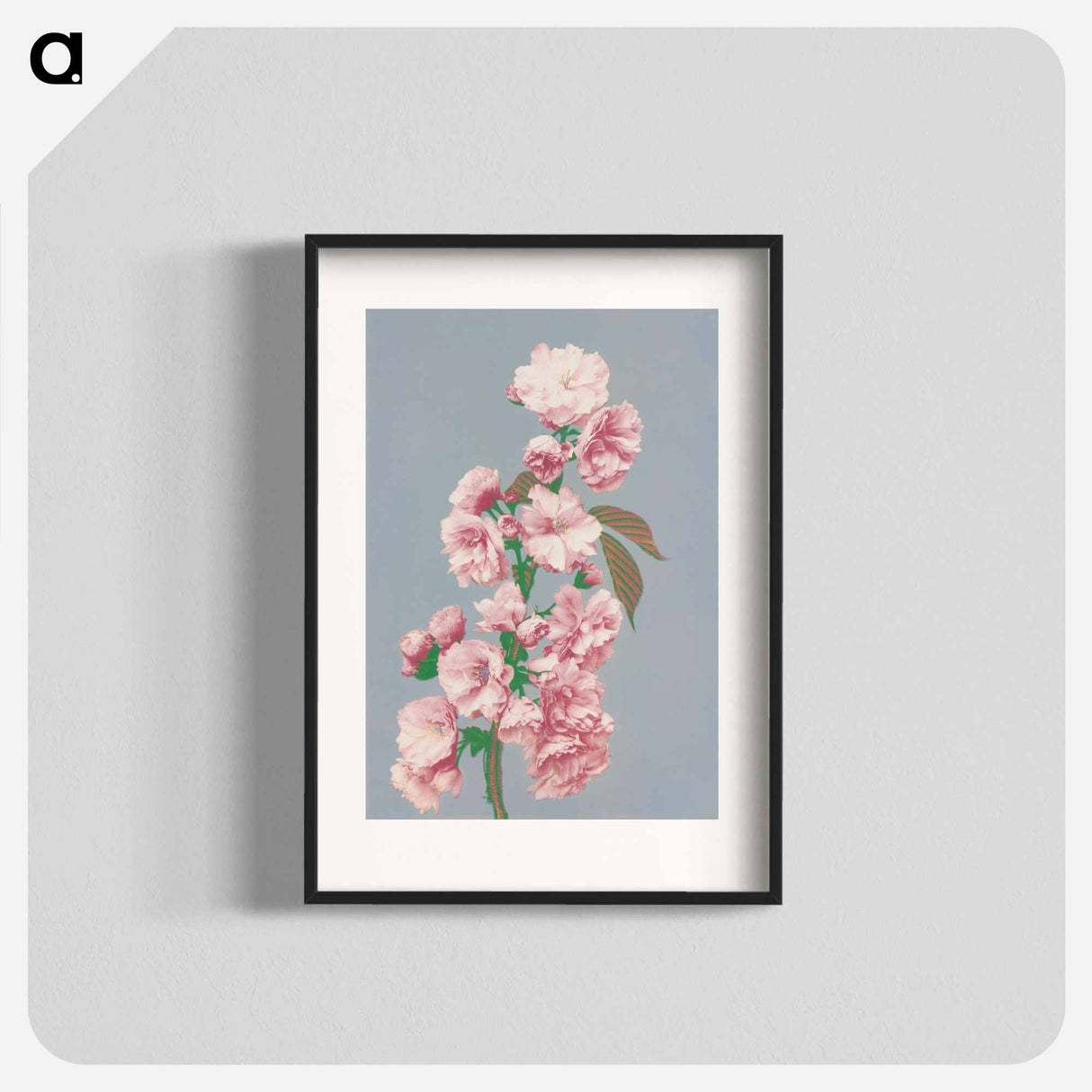 Cherry Blossom - 小川 一正 Poster.