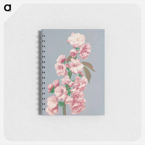 アートメモ帳-Cherry Blossom - 小川 一正 Memo.