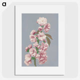1-10_Ogawa-Kazumasa_picture