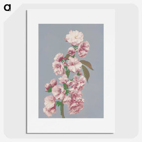 1-10_Ogawa-Kazumasa_picture
