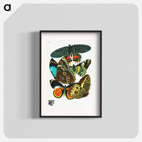 アートポスター-Vintage Butterflies
 - パピヨン Poster.