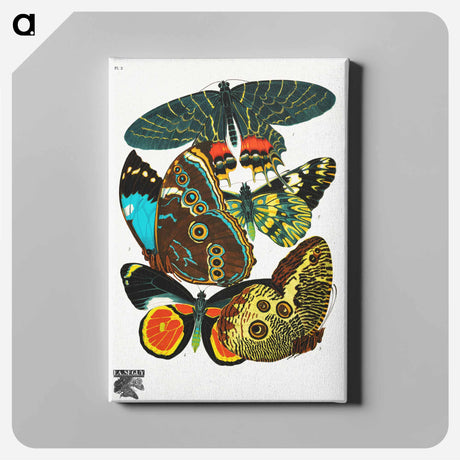 アートパネル-Vintage Butterflies
 - パピヨン Canvas.