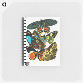 アートメモ帳-Vintage Butterflies
 - パピヨン Memo.