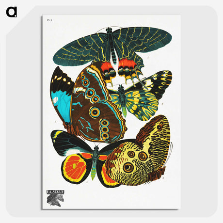 1-10_Papillons_picture-crop