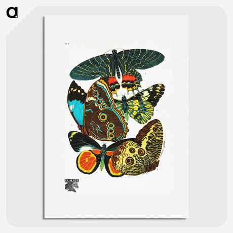 1-10_Papillons_picture