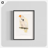 1-10_Parrots-in-Captivity_blk