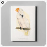 1-10_Parrots-in-Captivity_canvas