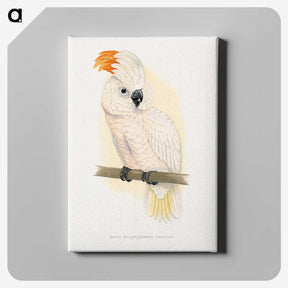 1-10_Parrots-in-Captivity_canvas