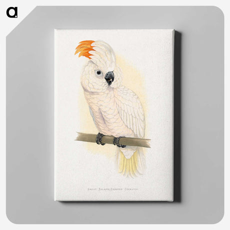 1-10_Parrots-in-Captivity_canvas