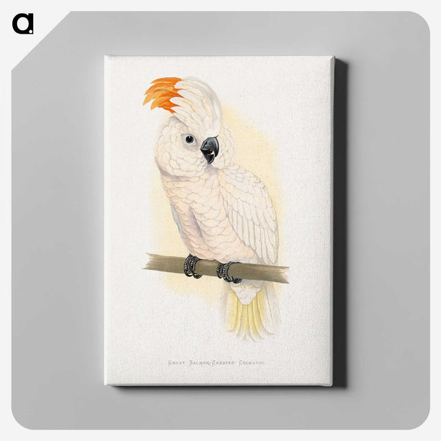 1-10_Parrots-in-Captivity_canvas