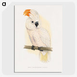 1-10_Parrots-in-Captivity_picture-crop
