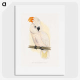 1-10_Parrots-in-Captivity_picture