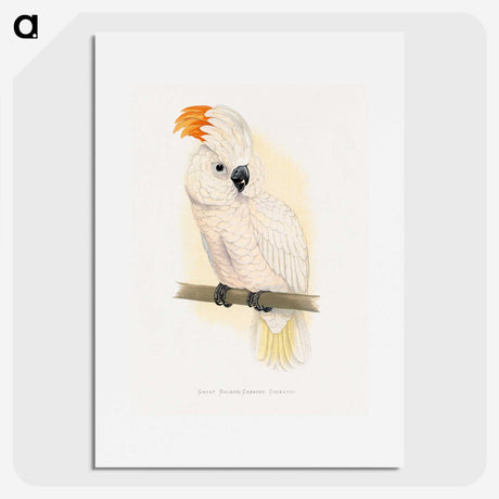 1-10_Parrots-in-Captivity_picture