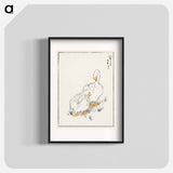 アートポスター-Duck and Young Grass
 - 鳥類図鑑 Poster.