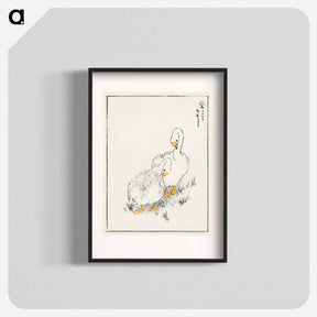 アートポスター-Duck and Young Grass
 - 鳥類図鑑 Poster.