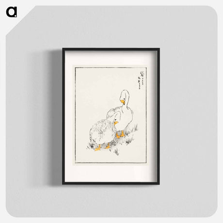 アートポスター-Duck and Young Grass
 - 鳥類図鑑 Poster.