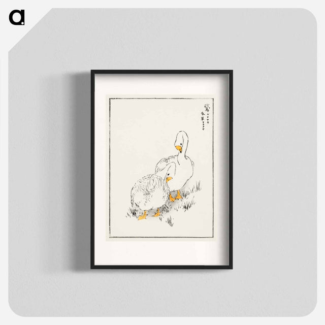 アートポスター-Duck and Young Grass
 - 鳥類図鑑 Poster.