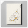 アートパネル-Duck and Young Grass
 - 鳥類図鑑 Canvas.