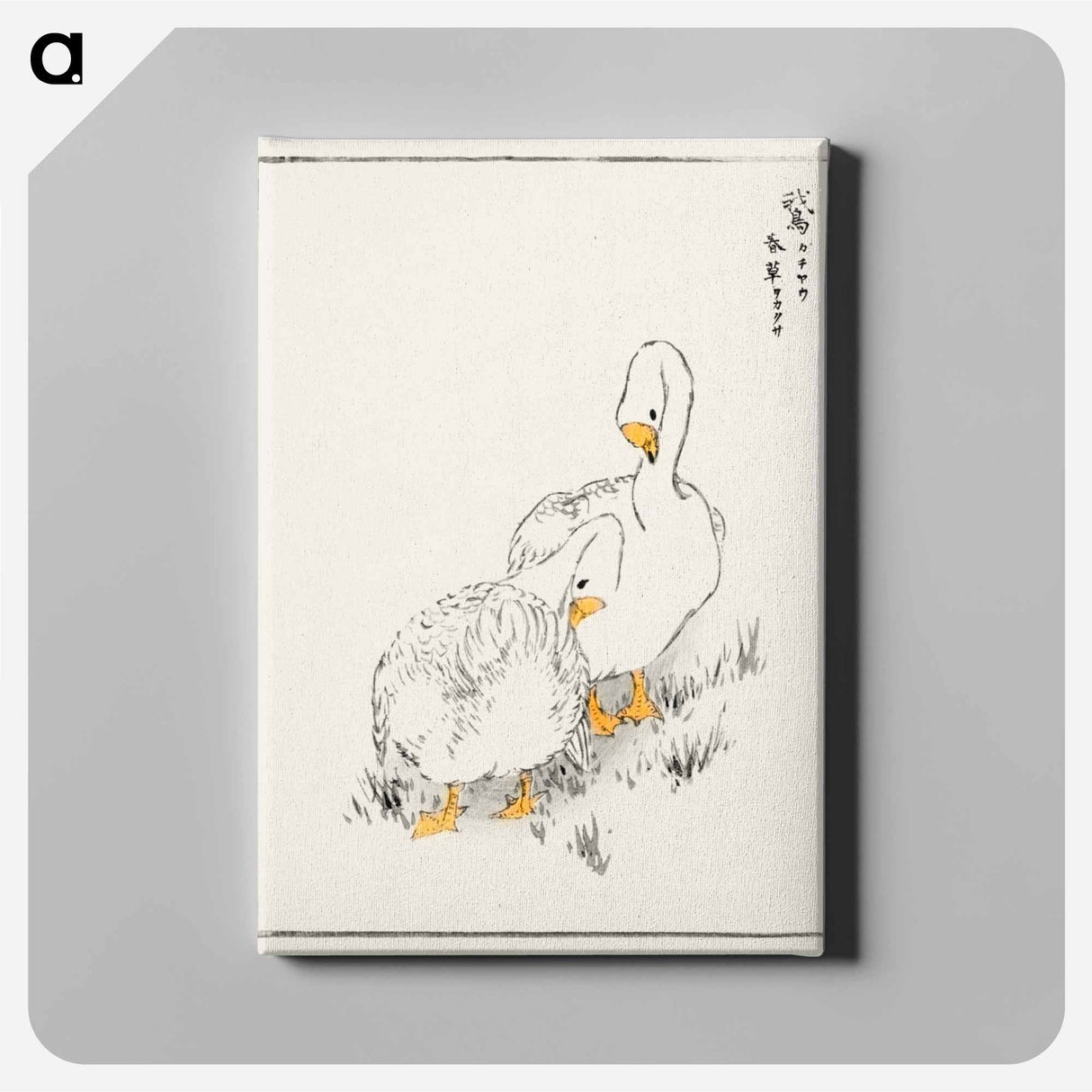 アートパネル-Duck and Young Grass
 - 鳥類図鑑 Canvas.