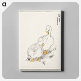 アートパネル-Duck and Young Grass
 - 鳥類図鑑 Canvas.