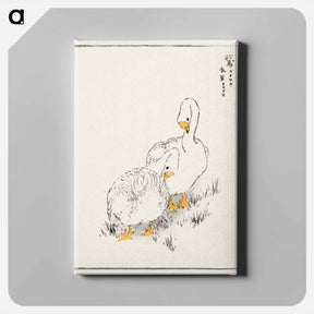 アートパネル-Duck and Young Grass
 - 鳥類図鑑 Canvas.