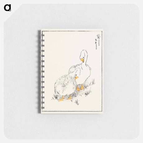 アートメモ帳-Duck and Young Grass
 - 鳥類図鑑 Memo.