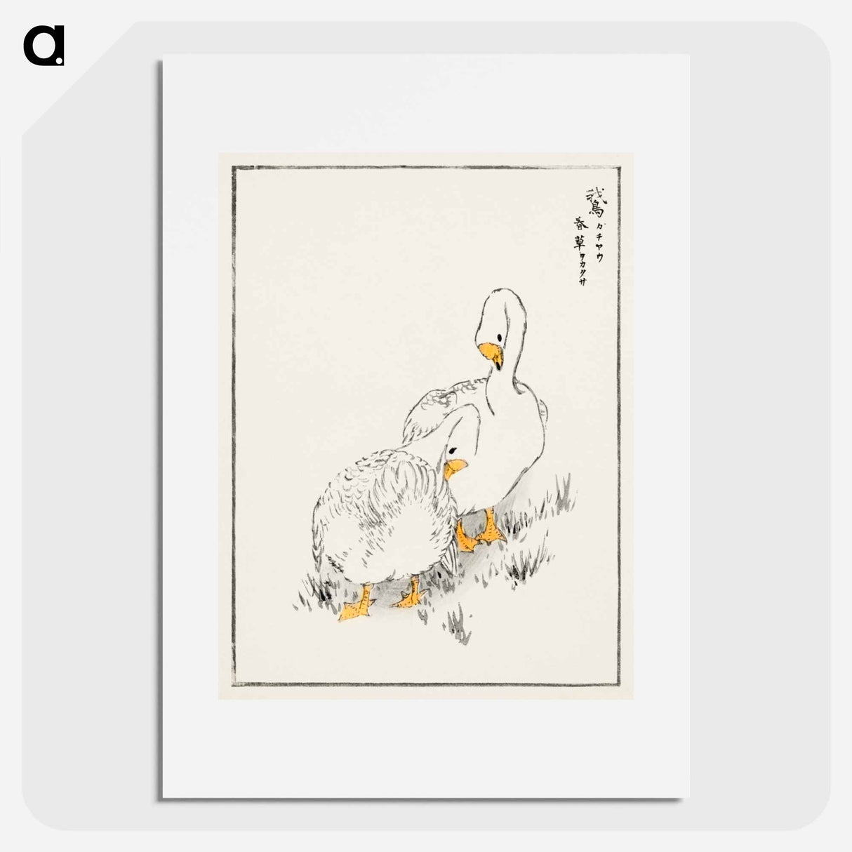 アートポスター-Duck and Young Grass
 - 鳥類図鑑 Poster.