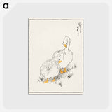 アートポストカード-Duck and Young Grass
 - 鳥類図鑑 Postcard.