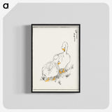 1-10_Pictorial-Monograph-of-Birds_blk-crop