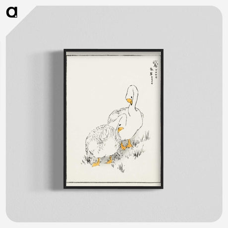 1-10_Pictorial-Monograph-of-Birds_blk-crop