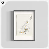 1-10_Pictorial-Monograph-of-Birds_blk