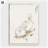 1-10_Pictorial-Monograph-of-Birds_picture-crop
