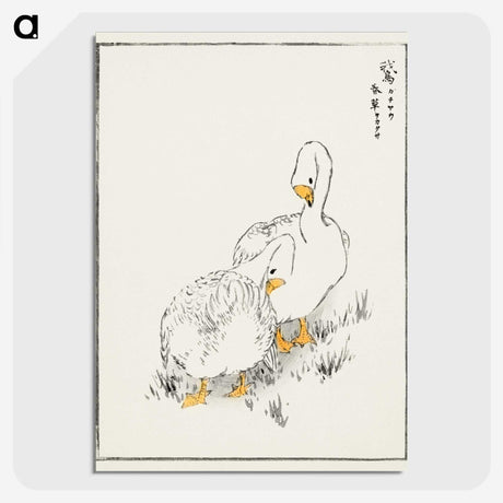 1-10_Pictorial-Monograph-of-Birds_picture-crop