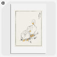 1-10_Pictorial-Monograph-of-Birds_picture