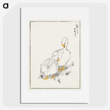 1-10_Pictorial-Monograph-of-Birds_picture