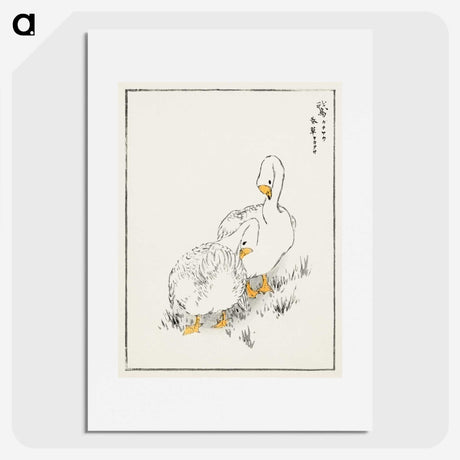 1-10_Pictorial-Monograph-of-Birds_picture