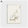 1-10_Pictorial-Monograph-of-Birds_postcard