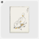 1-10_Pictorial-Monograph-of-Birds_postcard