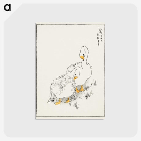 1-10_Pictorial-Monograph-of-Birds_postcard