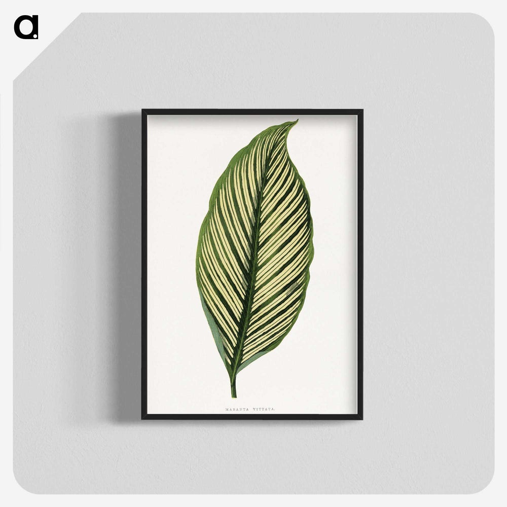 1-10_Plants-with-Colored-Foliage_blk-crop