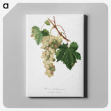 1-10_Pomona-Italiana_canvas