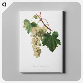 1-10_Pomona-Italiana_canvas