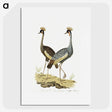 1-10_Robert-Jacob-Gordon_picture