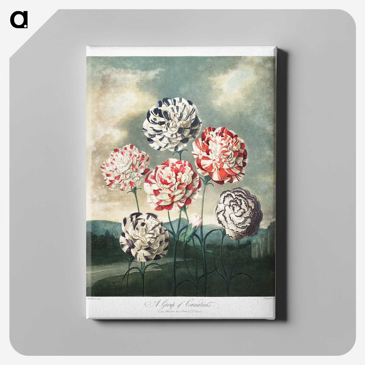 1-10_Robert-John-Thornton_canvas