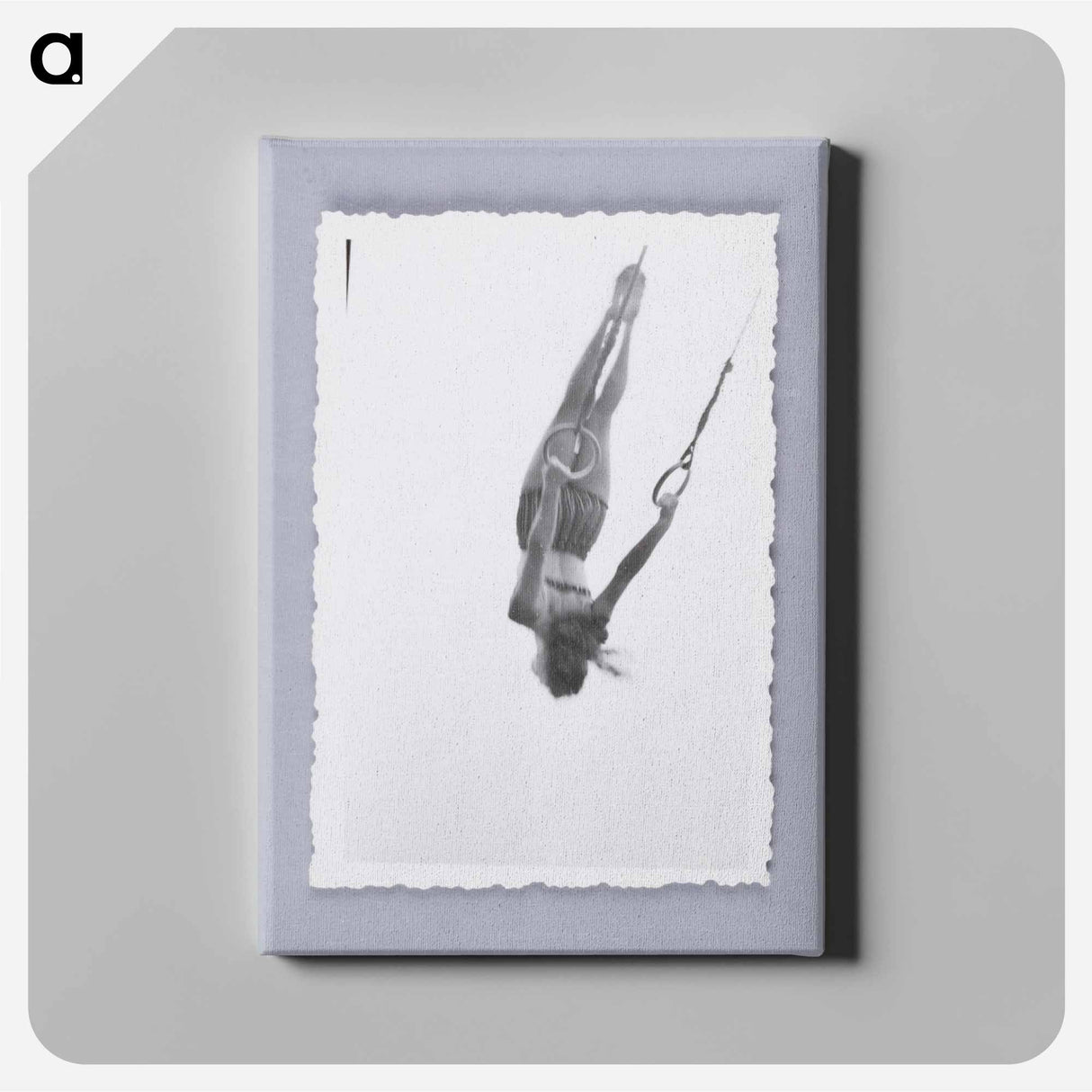 アートパネル-Woman Swinging on Rings
 - セントルイス美術館 Canvas.