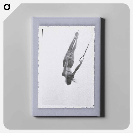 アートパネル-Woman Swinging on Rings
 - セントルイス美術館 Canvas.