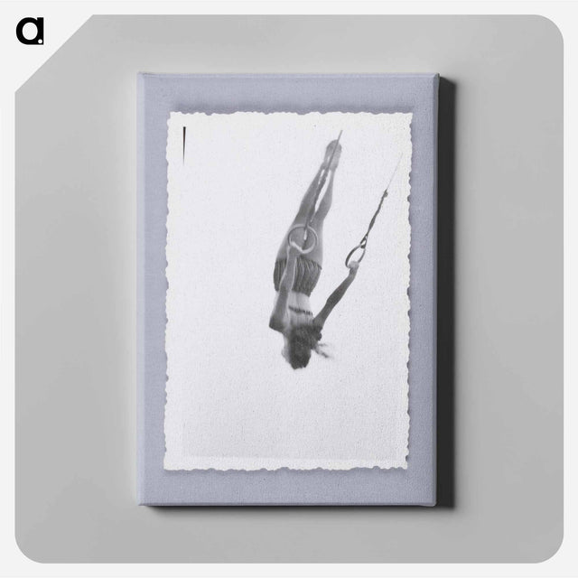 アートパネル-Woman Swinging on Rings
 - セントルイス美術館 Canvas.